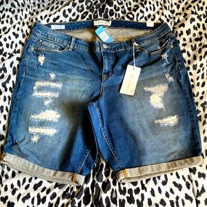 Torrid boyfriend jean shorts 22